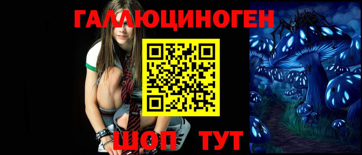 Псилоцибиновые грибы Psilocybe Магнитогорск