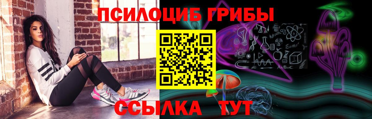 Псилоцибиновые грибы MAGIC MUSHROOMS  Вход с VPN  Галлюциногенные грибы прущие грибы  Магнитогорск 